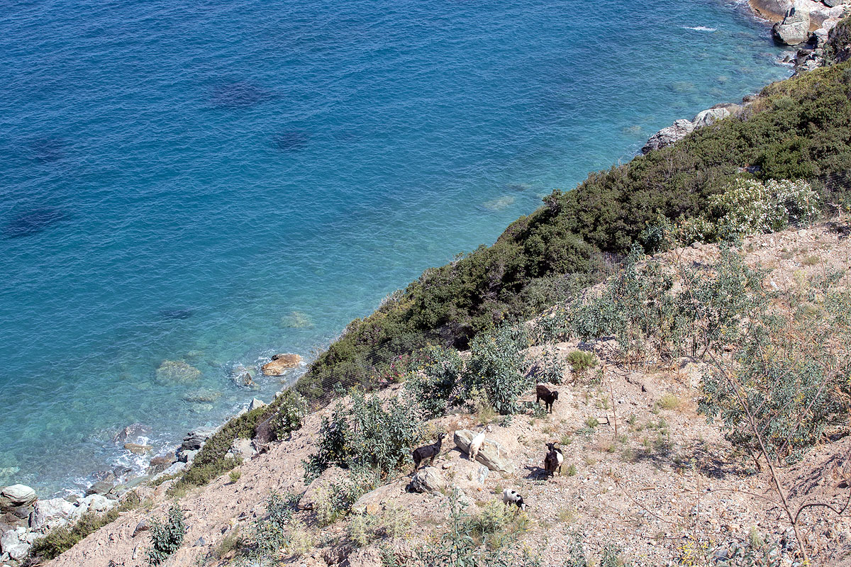 Villa Nereid
